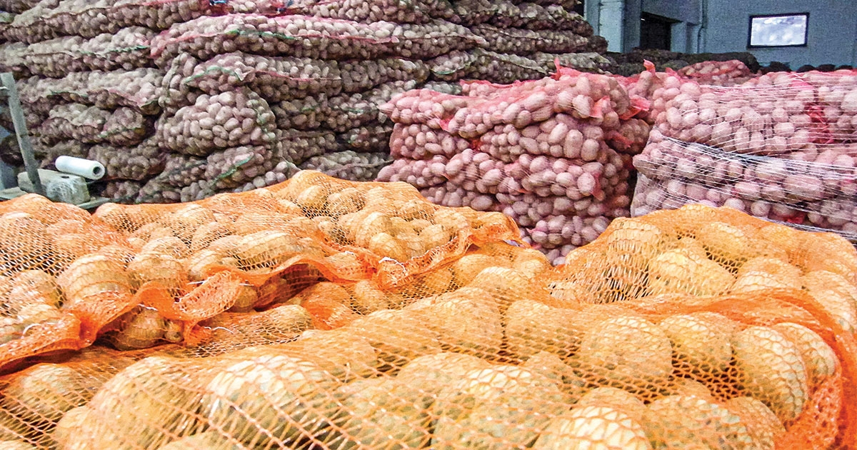 Kezdődik a betakarítás